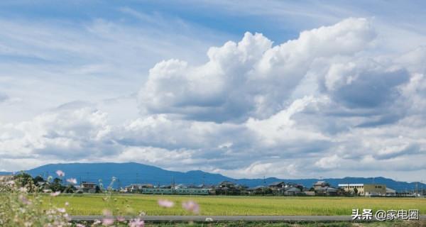 任何時候家電廠商都不能輕視產業政策的價值