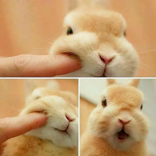 奶fufu女孩,怎麼讓顏值發揮到巔峰 奶fufu女孩,怎麼讓顏值發揮到巔峰