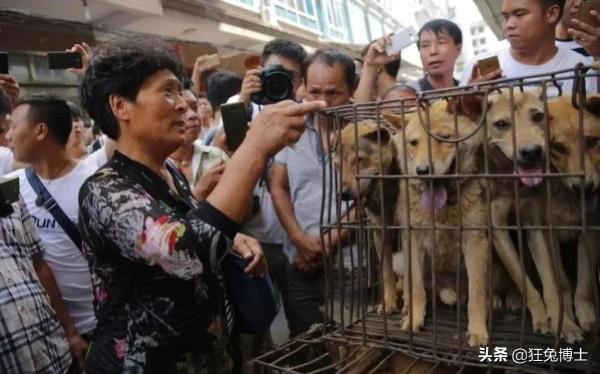 舌尖上的交鋒？欲加之罪何患無辭，中國吃貨表示：這鍋咱不背