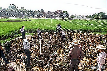 年底將至,新一輪的行動下,村民要提前瞭解三個規定,怎麼回事 年底將至,新一輪的行動下,村民要提前瞭解三個規定,怎麼回事