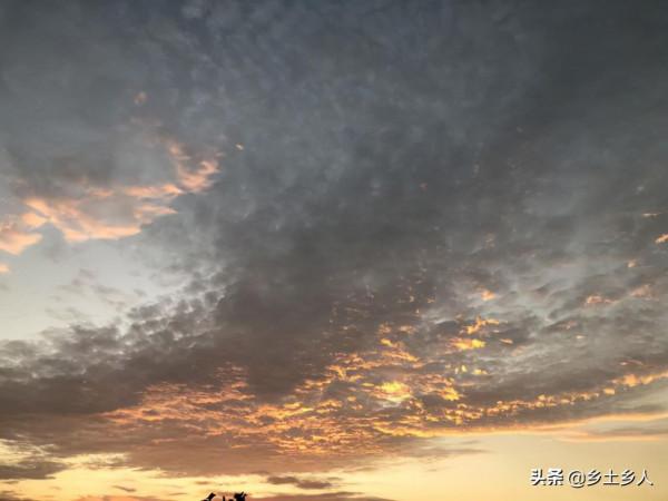 今年八月十七是秋分，俗語“秋分見龍歸，必定是豐年”，啥意思？