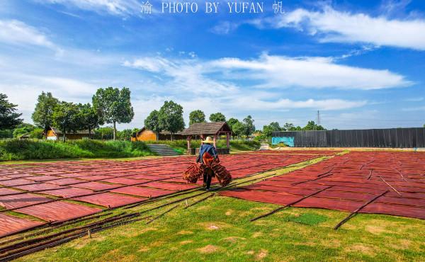 旅途中偶遇風光大片，瞭解卻是差點失傳的國家級非遺，非常了不起