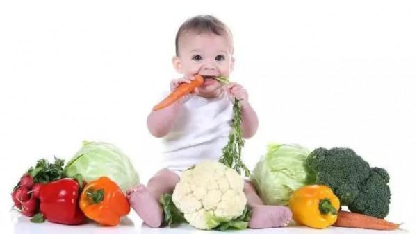 嬰幼兒所需的那些營養素之四：水