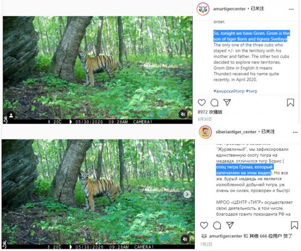 “阿穆爾虎工程”與“阿穆爾虎中心”有什麼區別?莫被誤導 “阿穆爾虎工程”與“阿穆爾虎中心”有什麼區別?莫被誤導