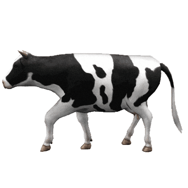 鯨尾鰭的形狀是怎麼來的？