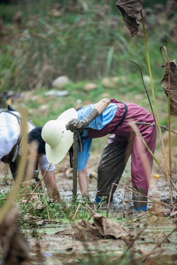 佟麗婭“鄉村”裝扮超質樸，即便生過孩子，也依然保持少女活力