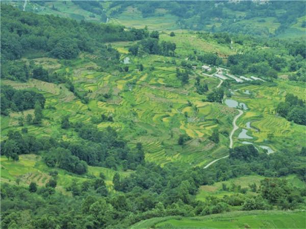 紅河的秋，是哈尼梯田綠如錦、異龍湖畔稻花香、臨安滿是美食香……