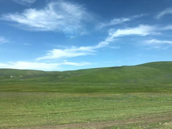 新疆之旅四：喀拉峻大草原