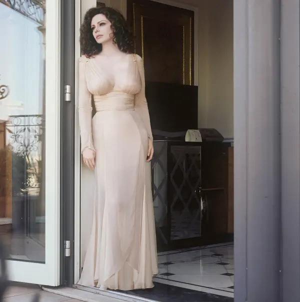 義大利電影中最美麗的面板——Francesca Dellera 義大利電影中最美麗的面板——Francesca Dellera