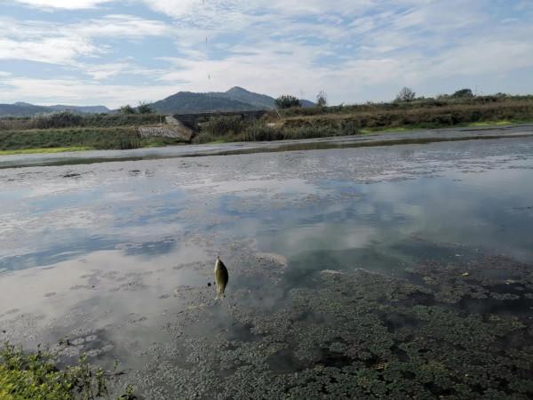 抓住一波魚狂口小爆護,天涼了得釣深釣遠了 抓住一波魚狂口小爆護,天涼了得釣深釣遠了