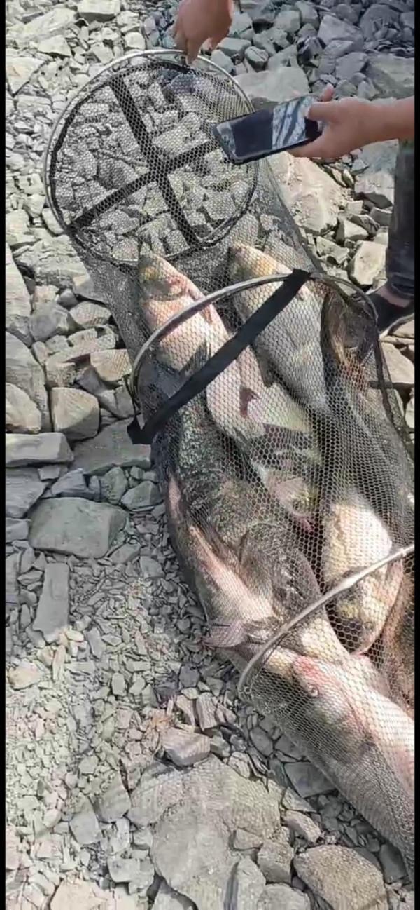 與光威同行 與光威同行