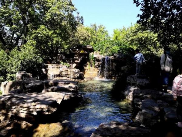 小園小景也入畫 小園小景也入畫