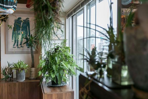 羨慕這對日本老夫妻,翻新30年老宅退休住,全屋不豪裝卻很有氣質 羨慕這對日本老夫妻,翻新30年老宅退休住,全屋不豪裝卻很有氣質