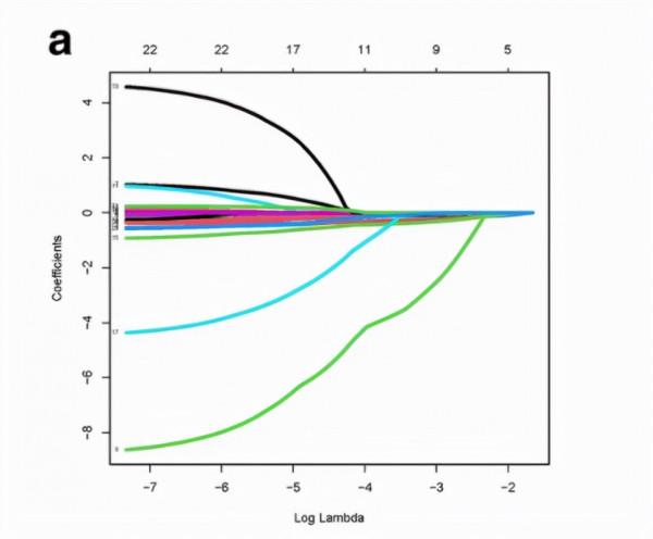 CANCER CELL:臨床M2巨噬細胞相關基因輔助治療胰腺導管腺癌 CANCER CELL:臨床M2巨噬細胞相關基因輔助治療胰腺導管腺癌