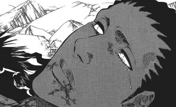 《死神bleach》雜談：從正義的化身到罪惡的復仇者——狛村左陣