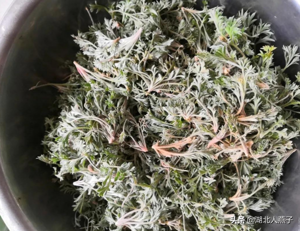 春天容易上火，最適合吃5種&OpenCurlyDoubleQuote;護肝菜&rdquo;和2種&OpenCurlyDoubleQuote;補肝茶&rdquo;，對身體好