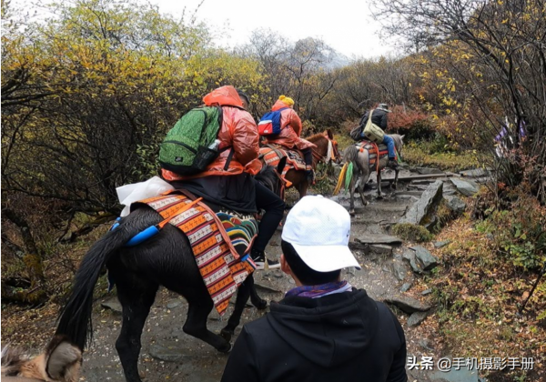 稻城亞丁,號稱“藍色星球上的最後一片淨土”,卻是我的惡魔之旅 稻城亞丁,號稱“藍色星球上的最後一片淨土”,卻是我的惡魔之旅