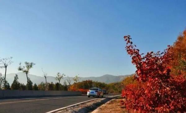 秋季京西這條路，美得如同斑斕的油畫