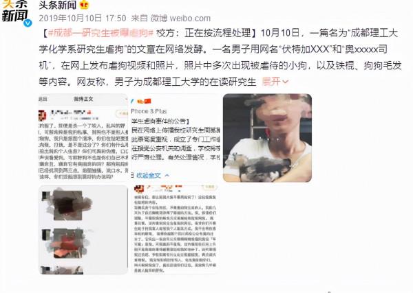 復旦師生餵了8年的流浪貓,在領養前夜被虐殺了 復旦師生餵了8年的流浪貓,在領養前夜被虐殺了