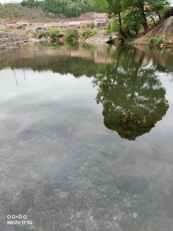 最近釣魚圈流行了無敵小軟尾,我說說我的不成熟的看法 最近釣魚圈流行了無敵小軟尾,我說說我的不成熟的看法