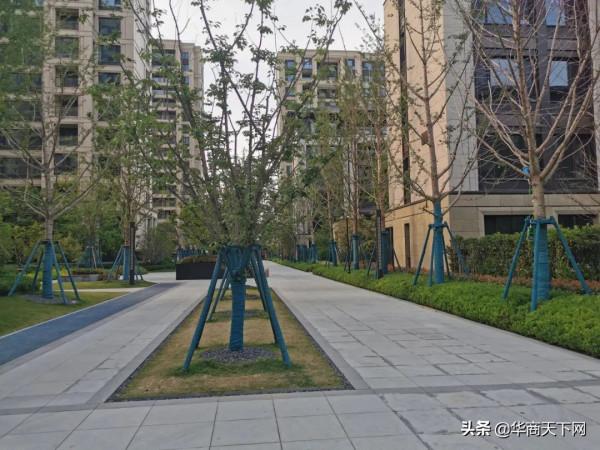 如果開門就能看到別人的鞋櫃,我直接就扔了,哪還有商量的餘地? 如果開門就能看到別人的鞋櫃,我直接就扔了,哪還有商量的餘地?