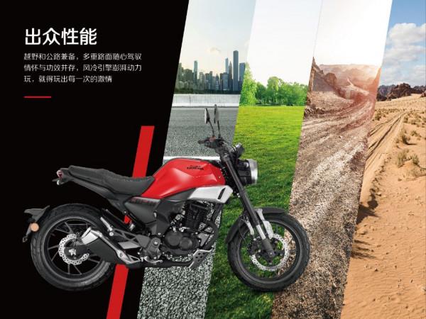 騎帥不騎快,190TR,金吉拉300,楚留香250,如何選? 騎帥不騎快,190TR,金吉拉300,楚留香250,如何選?