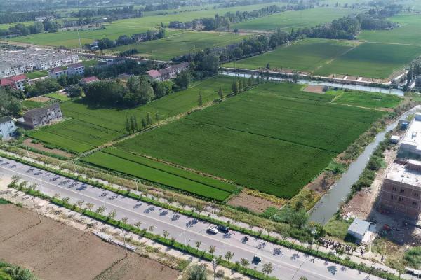 廣西這一“王牌”小鎮，坐擁工業企業132家，被評為“副縣級鎮”