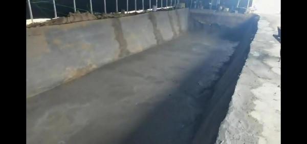 大棚室內釣魚邀你共同成長