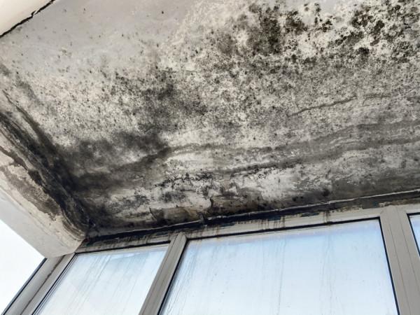 一樓太潮怎麼辦？我在一樓住了三年，總結出五個裝修建議