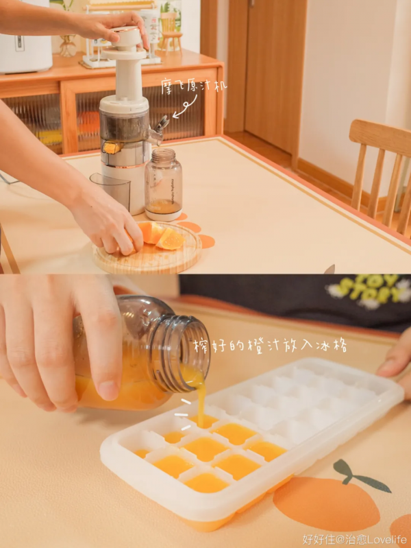 她家簡直是個種草機，原木空間進來就出不去