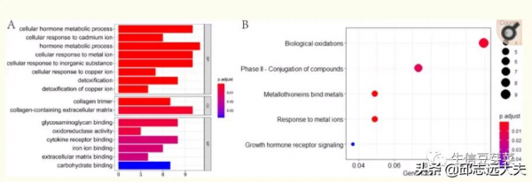 基於 GEO 和 TCGA 資料庫的肝癌早期診斷生物標誌物和預後標誌物鑑定