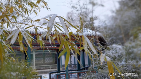 難覽觀園全畫景 雪覆臘梅一隅香&mdash;&mdash;踏雪尋遊北京大觀園