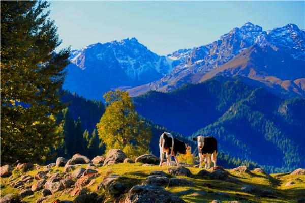 新疆天山山脈進入秋季，色彩斑斕