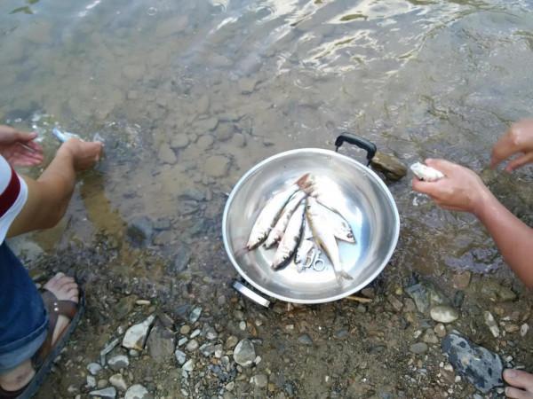 野釣露營，青山綠水