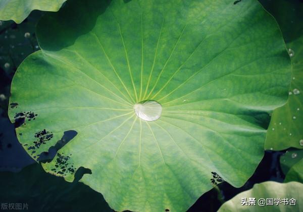 《格言聯璧》：人有大巧，必有大拙