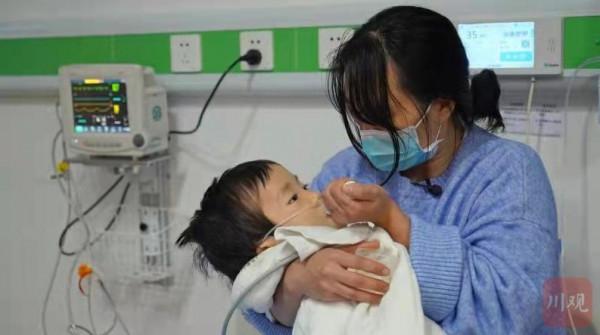 感動一座城的&OpenCurlyDoubleQuote;奧利奧&rdquo;走了