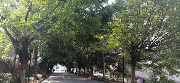 雲彩下的山城系列（九）