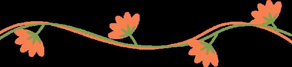 【FENG聞】創森 | 誰說夏天沒有花 帶你去蓮花池看花 【FENG聞】創森 | 誰說夏天沒有花 帶你去蓮花池看花