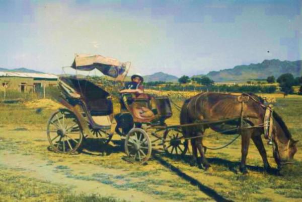 老照片-青海(AI上色對比版-13) 老照片-青海(AI上色對比版-13)