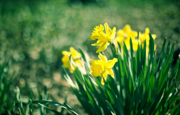 後半生,這4個星座聰明好學,情商超高,註定驚豔綻放 後半生,這4個星座聰明好學,情商超高,註定驚豔綻放