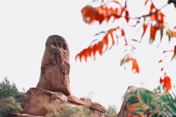 鳳凰嶺彩葉進入最佳觀賞期