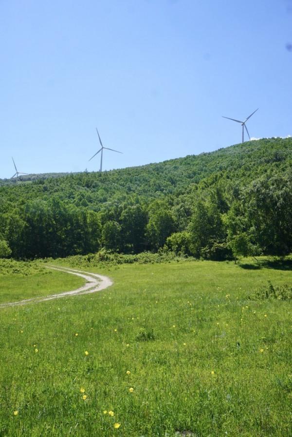 又是一年草原好時節，自駕承德千松壩森林公園