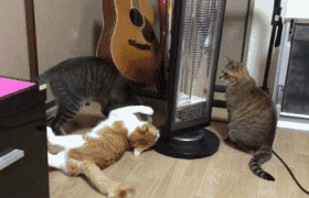 眼力測試！如果你從圖中看到的是一群人，那趕緊去看醫生吧