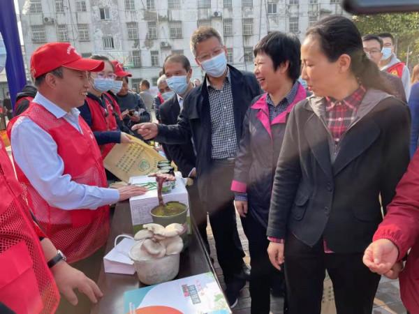 中國好人、科技特派員、蘑菇大王丁倫保參加科技“三下鄉”活動