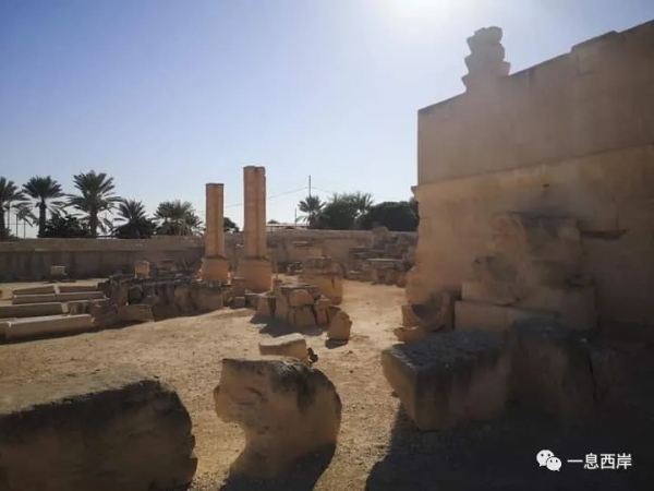 去傑里科的希沙姆宮遺址，看看世界現存最大面積的馬賽克地面