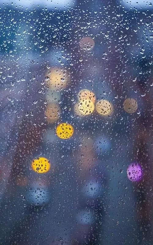 中國古詩中的“雨”（三）（續上）