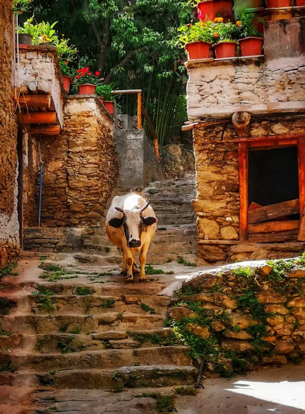 12月必去的7個古鎮,每一個都美到不想離開,閒了就去小住幾日吧 12月必去的7個古鎮,每一個都美到不想離開,閒了就去小住幾日吧