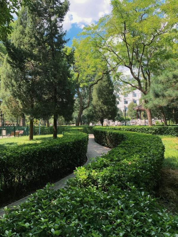北京6家小眾公園&amp;周邊吃喝不完全指南，重拾兒時的美好與神仙級美味