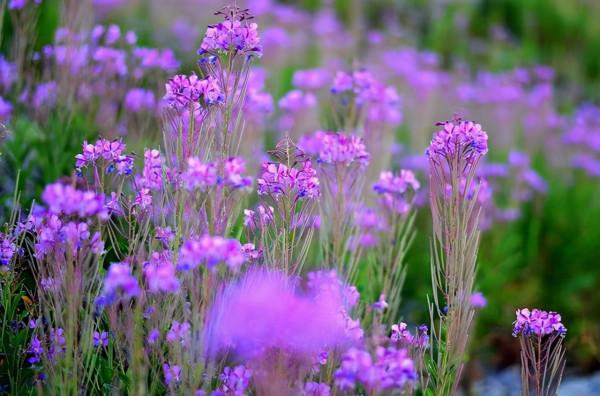 不要緊,一切都會好的!貼心窩的4句話,送給迷茫的你 不要緊,一切都會好的!貼心窩的4句話,送給迷茫的你