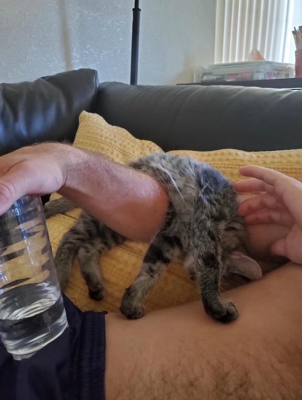 22 張可愛的動物照片,一看就很喜歡的那種 22 張可愛的動物照片,一看就很喜歡的那種